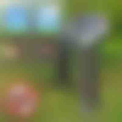 Dispozitiv solar de alungare a dăunătorilor | SOLGUARD