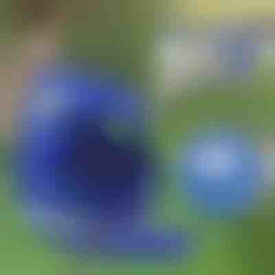 Ham reflectorizant reglabil pentru animale de companie și lesă | LEASHNGO