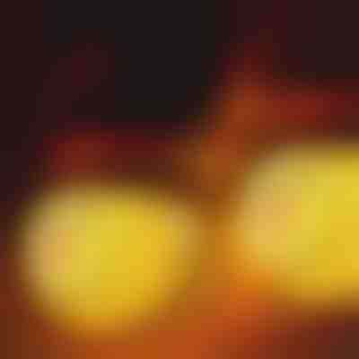 Husă în formă de om de zăpadă pentru becuri | SNOWKO